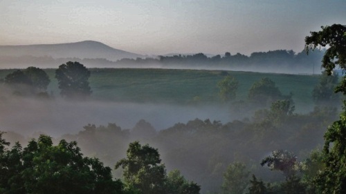 Country Mist on the Blue Ridge 2