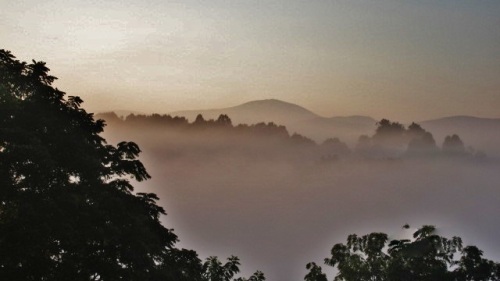 Country Mist on the Blue Ridge