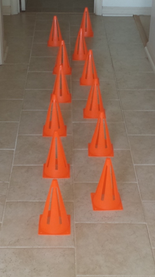 obstacle-of-cones-2